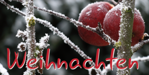 Frohe Weihnachten!